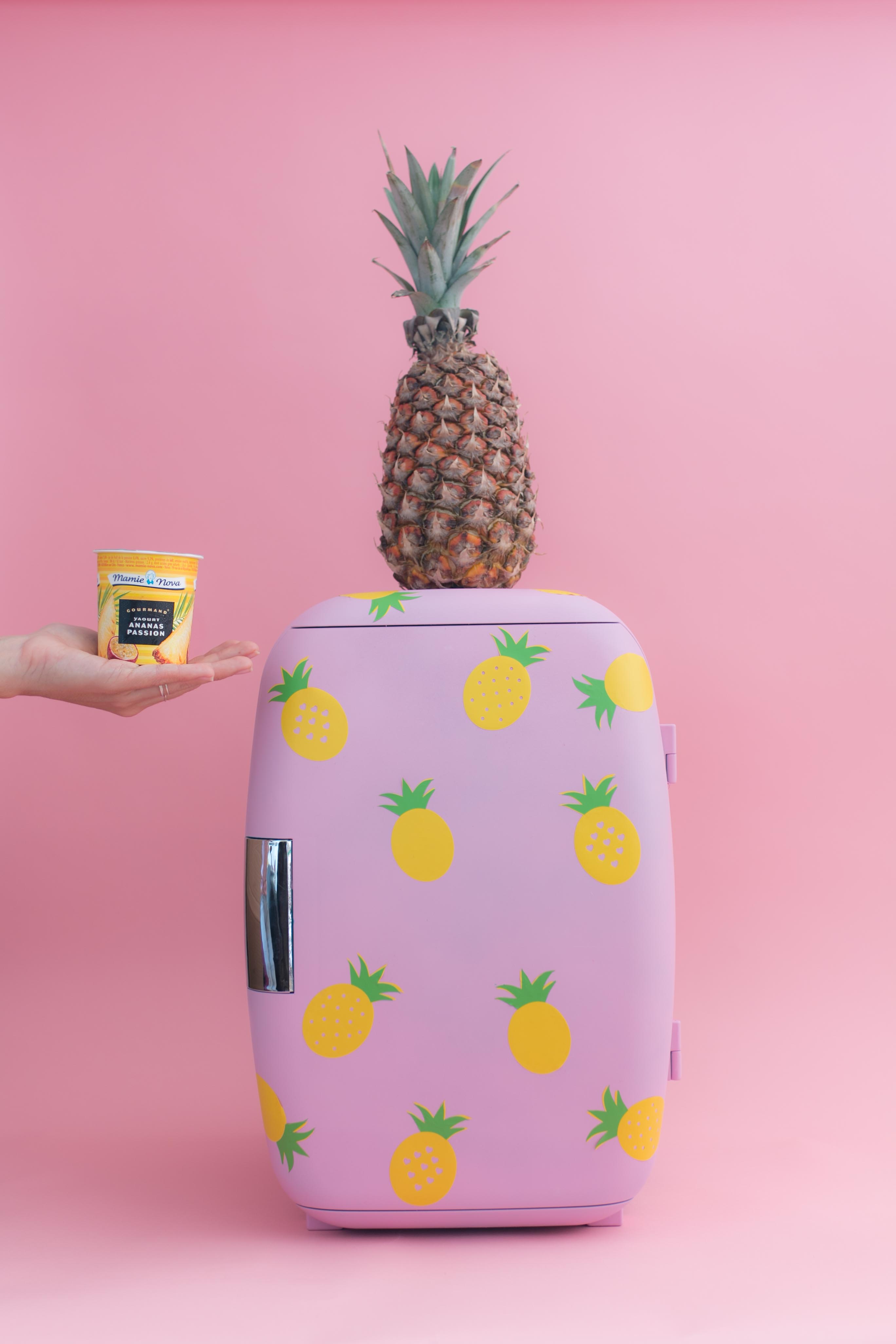 diy-frigo-anana-pineapple-fridge-i-sp4nkblog-x-mamie-nova-2