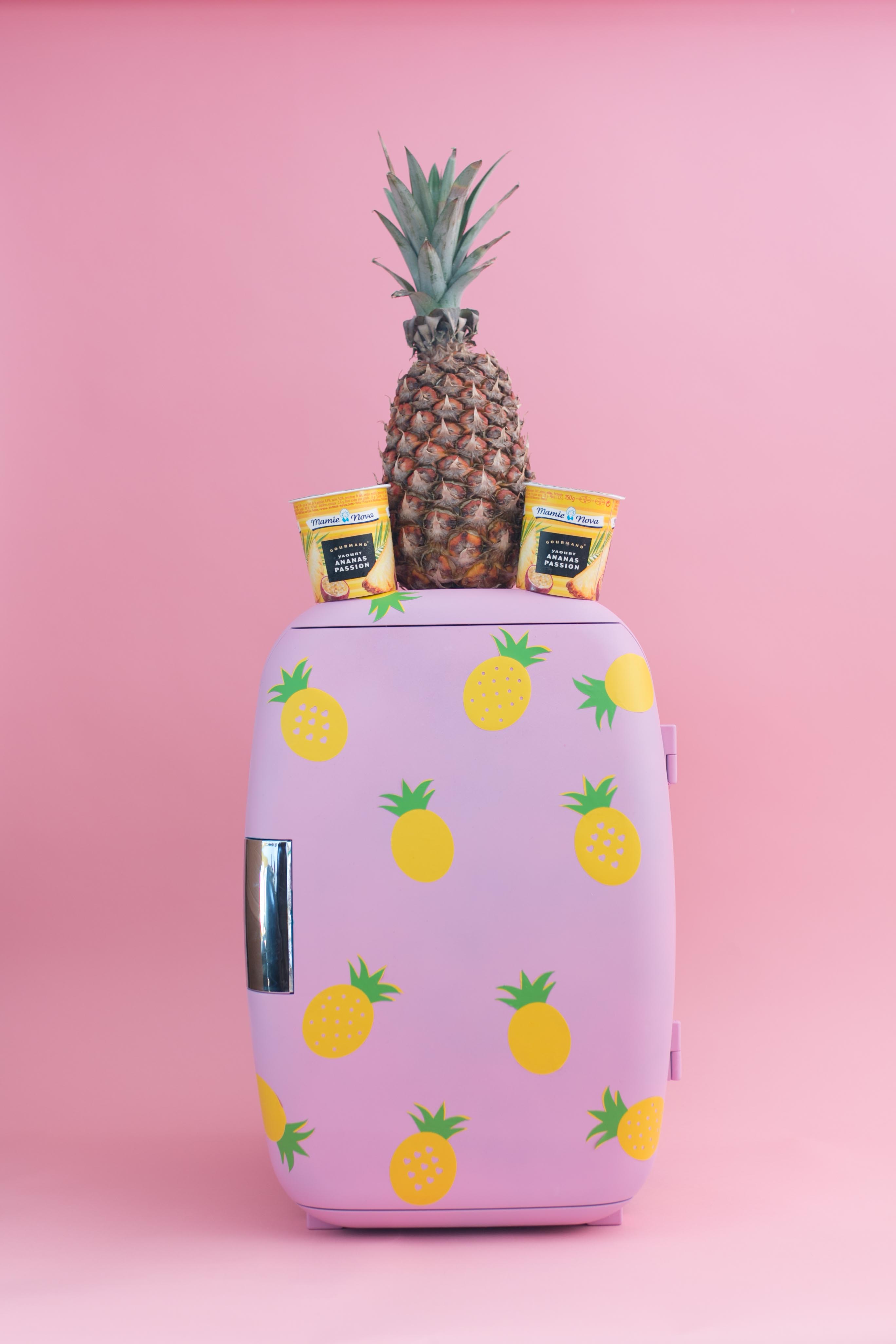 diy-frigo-anana-pineapple-fridge-i-sp4nkblog-x-mamie-nova