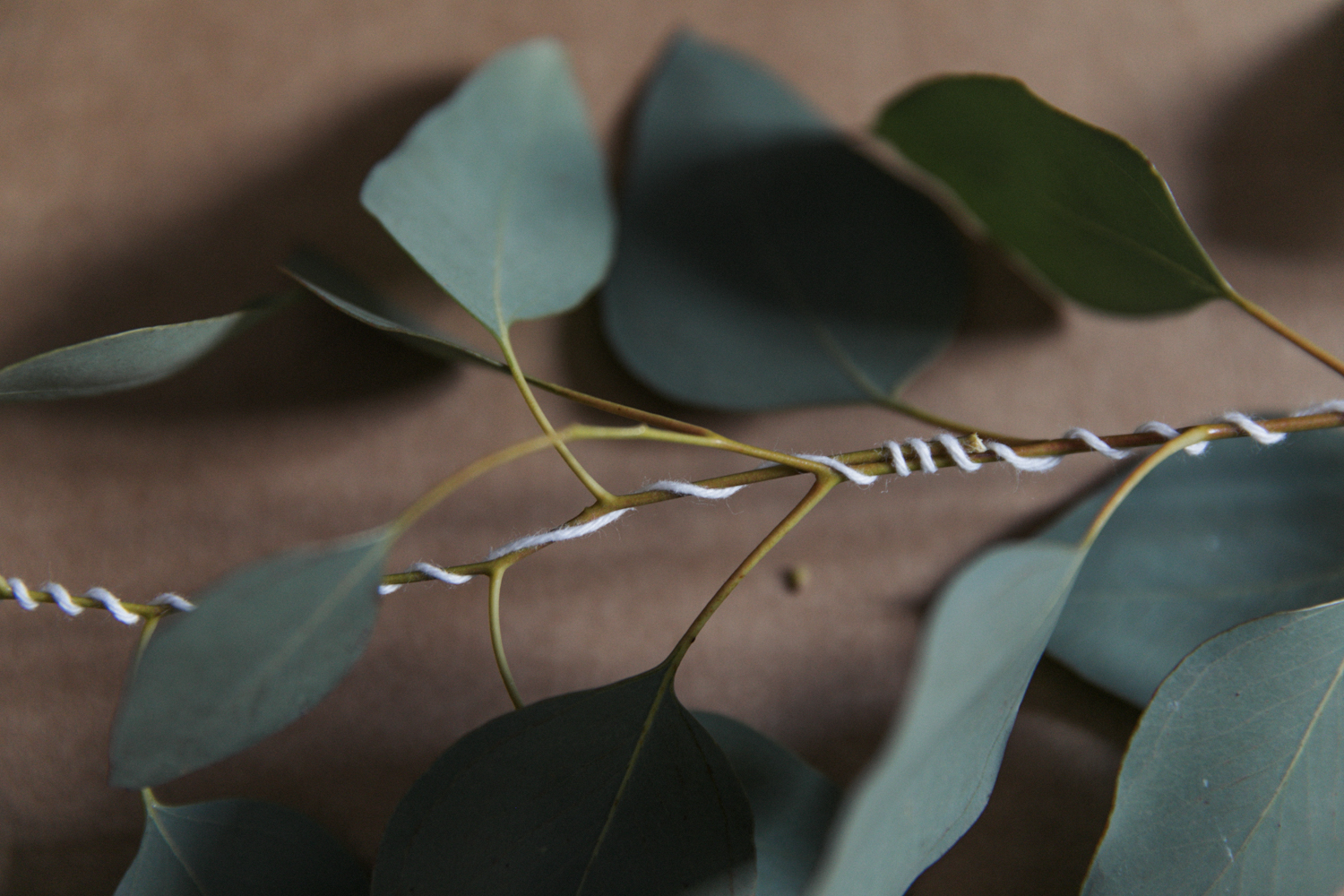 guirlande-eucalyptus-photo-5