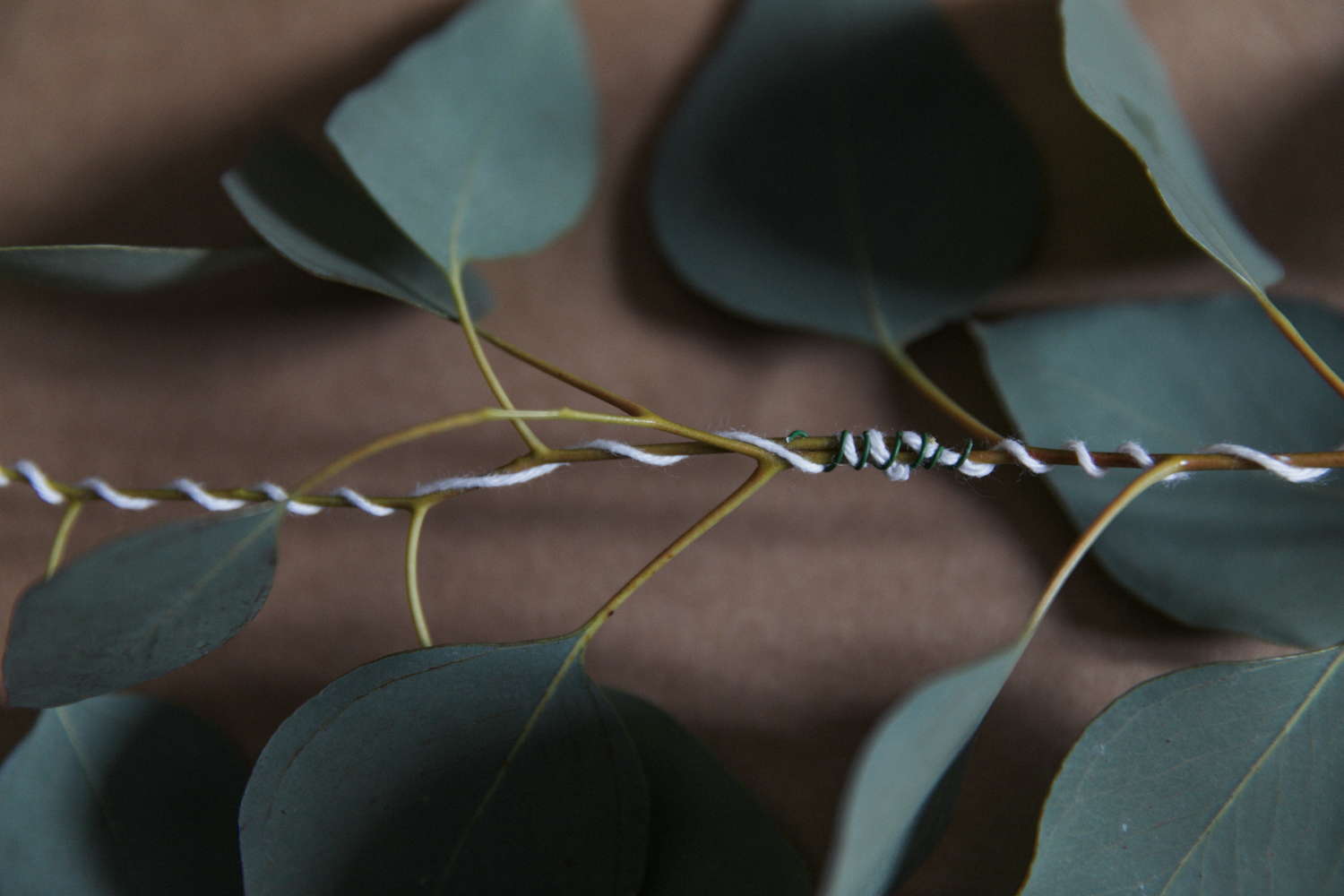 guirlande-eucalyptus-photo-7
