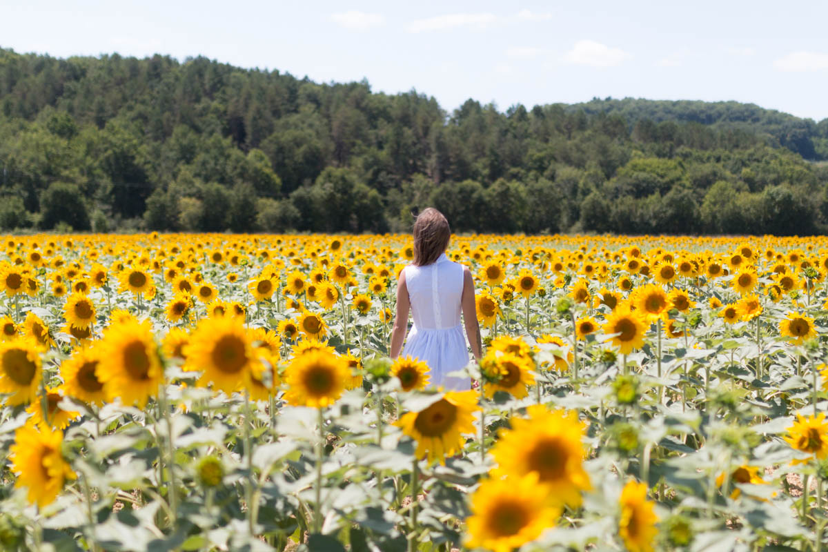 White dress in the sunflowers | SP4NK BLOG
